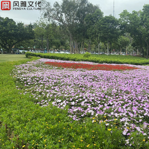 五月天色婷婷中文在线
